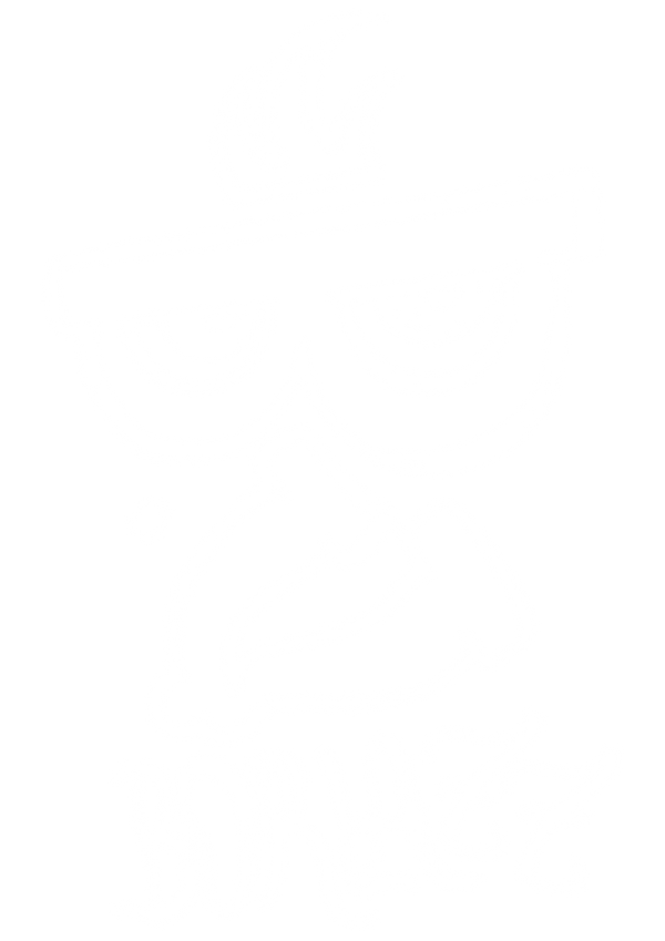 borlazz